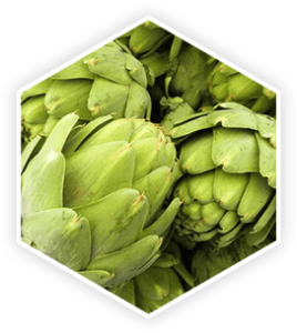 Artichoke Extract