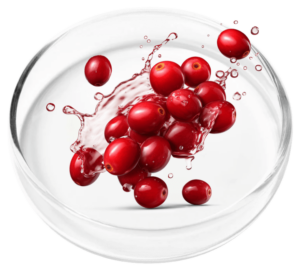 Cranberry Extract