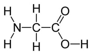 Glycine