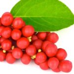 Schisandra Powder..