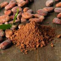 Cocoa Bean Extract