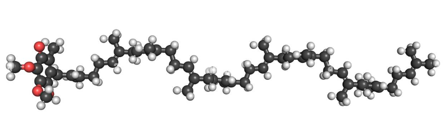 coenzyme q10